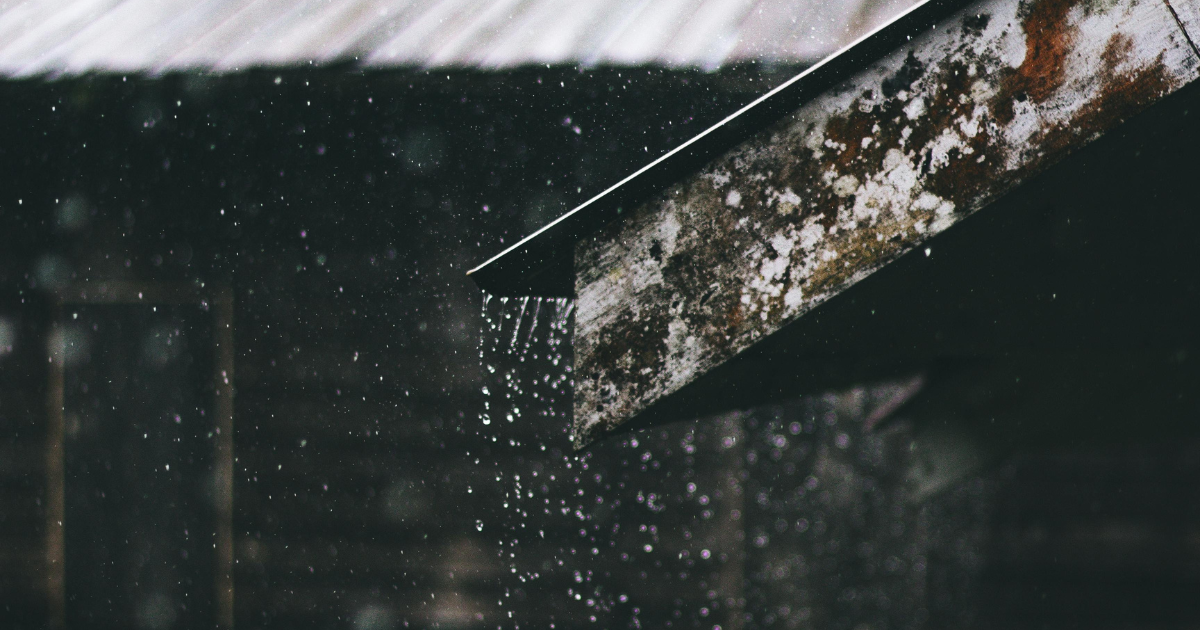 Rain | Zamo Mbhele | Fiction