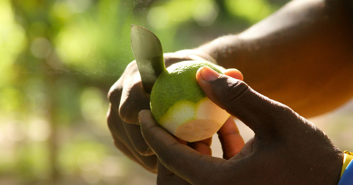 How I Learnt Tenderness | Owen Habel Lwanda | Poetry