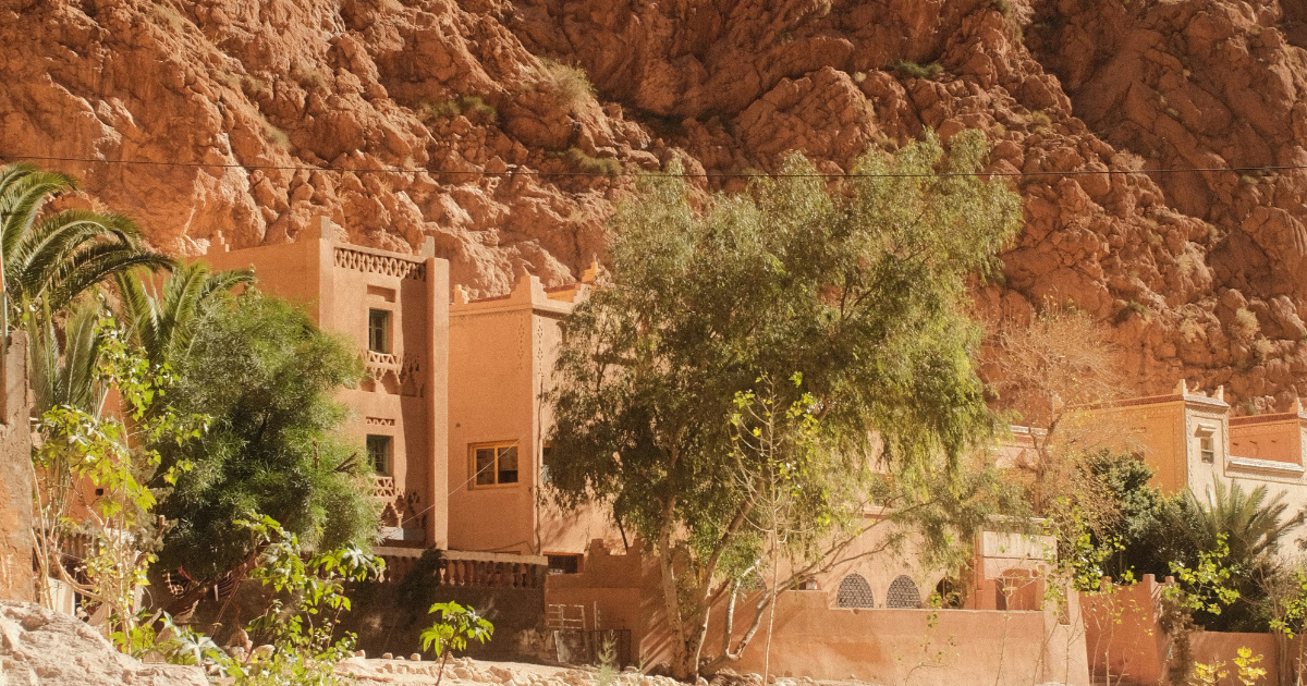 What My Grandmother Said Through the Haze | El Habib Louai | Poetry