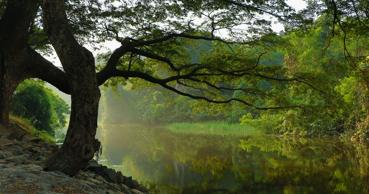 Tales of Jaduong’ Ochieng’ Ogello | Brian Oyollah | Fiction