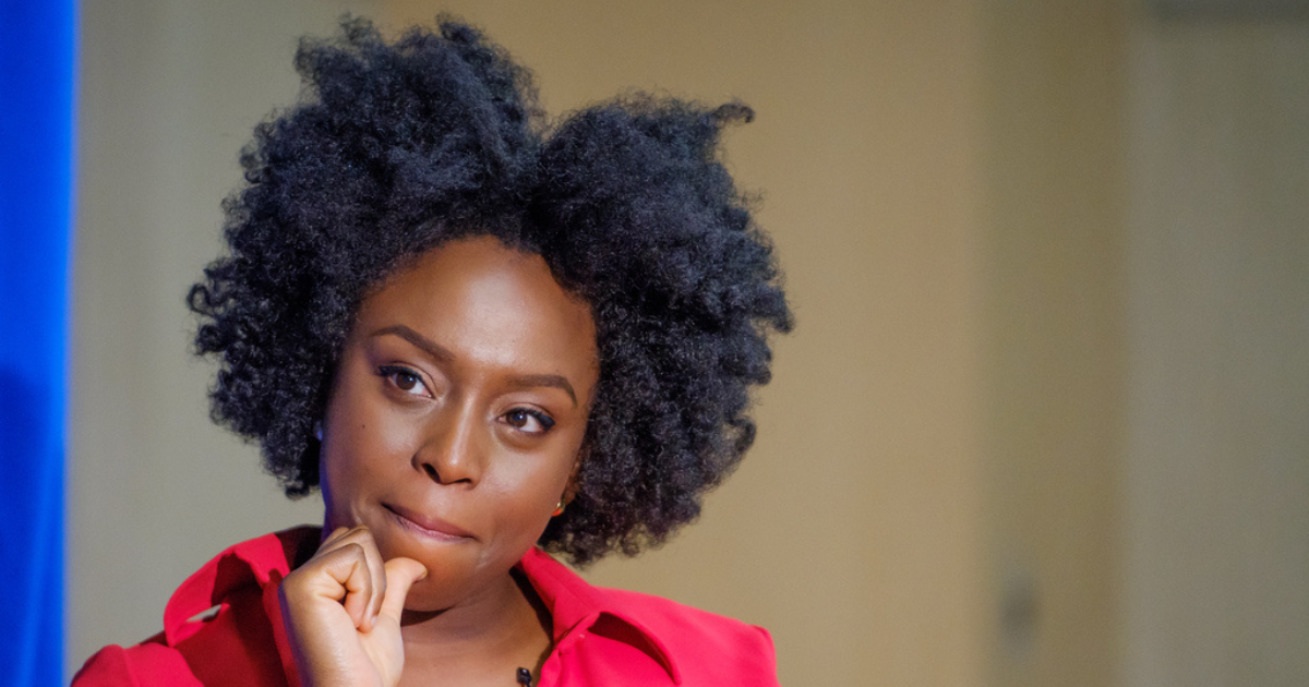 “This Weight Is Too Heavy”: Chimamanda Ngozi Adichie Speaks Out on the Death of Her Son and Euracare Hospital’s Response
